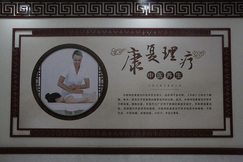 传承中医精髓，守护健康生活——甘肃卫生职业学院中医康复治疗技术专业与中医养生保健服务